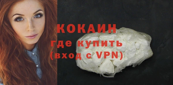 PSILOCYBIN Аркадак