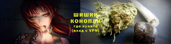PSILOCYBIN Аркадак
